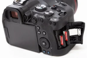 Canon EOS R6 SD card x 2 is used as the recording medium