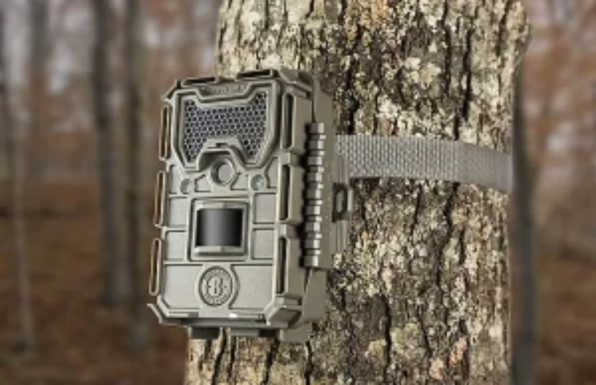 Best Trail camera